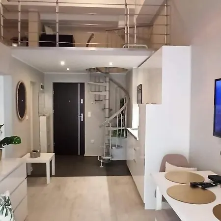 Blue Dream Slavia 公寓 米兹多洛杰