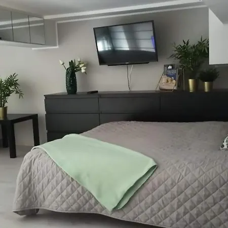 Blue Dream Slavia 米兹多洛杰