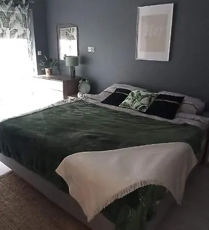 Blue Dream Slavia 公寓 米兹多洛杰