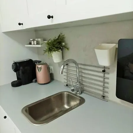 Blue Dream Slavia 米兹多洛杰