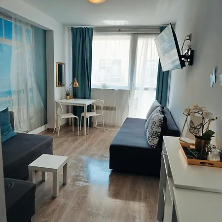 Blue Dream Slavia 米兹多洛杰