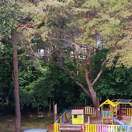 Blue Dream Slavia * 米兹多洛杰